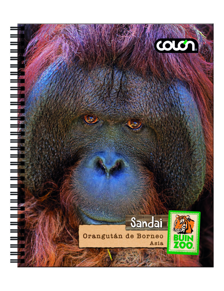 Producto