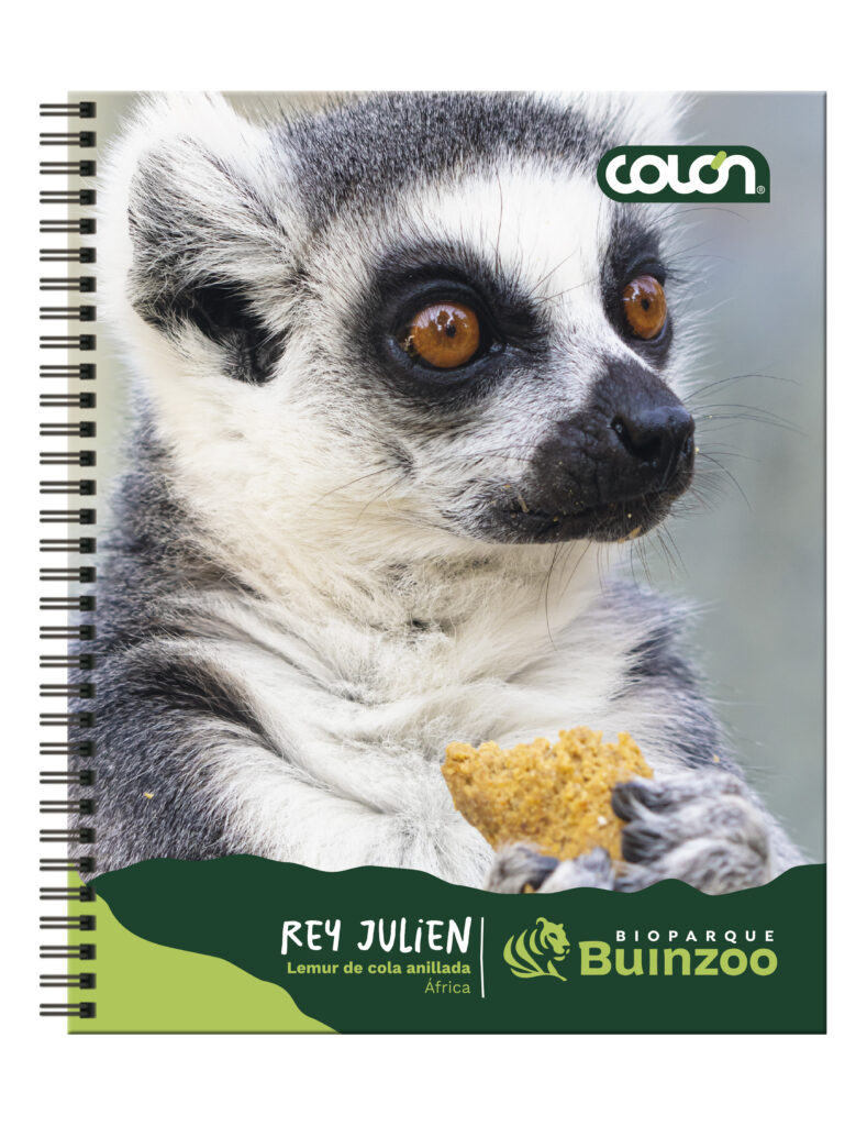 Producto
