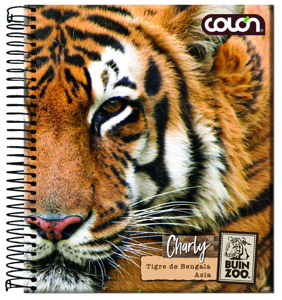Producto
