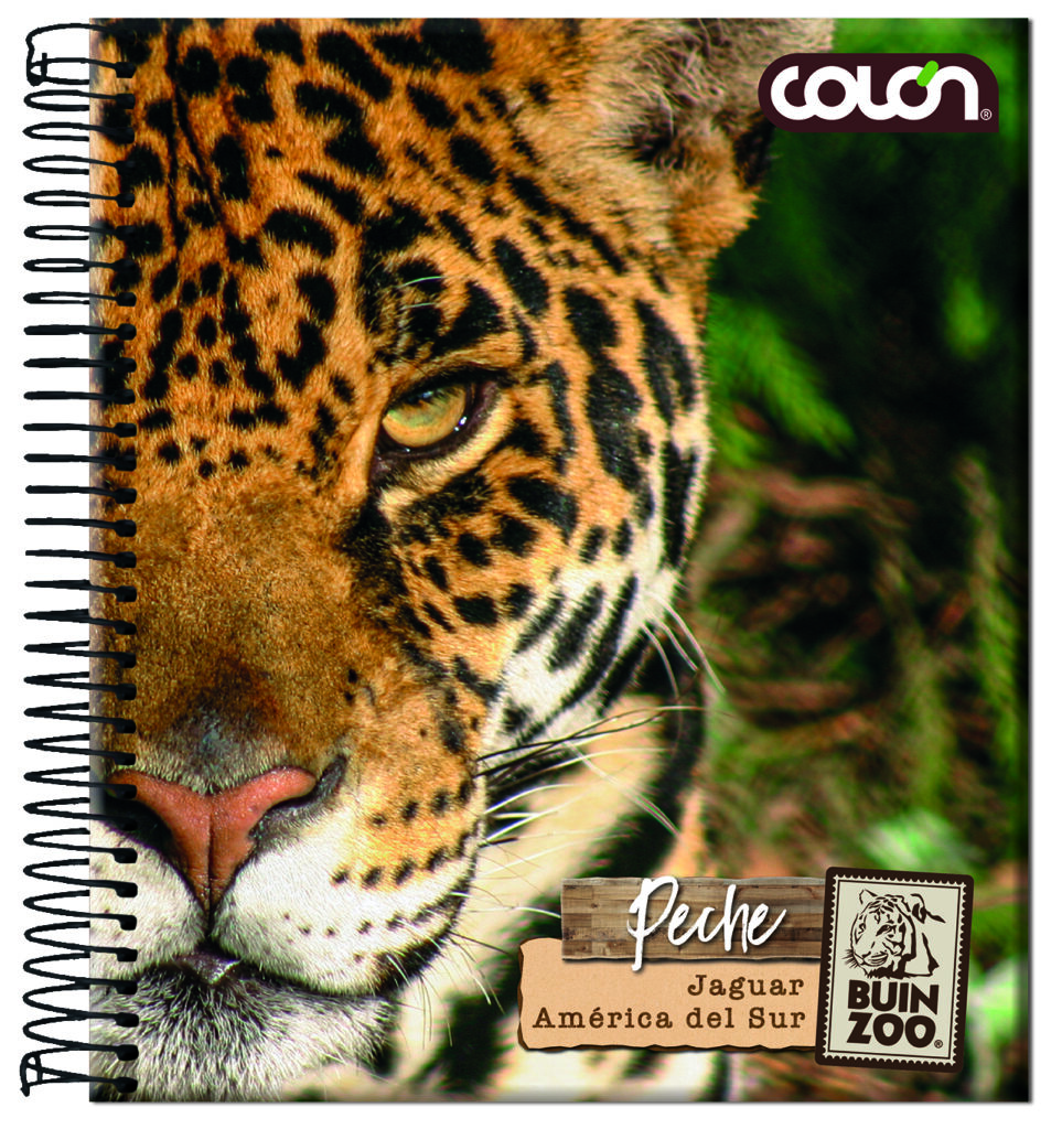 Producto